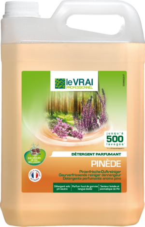 (4286) Vfr Lvp Pinede 5l