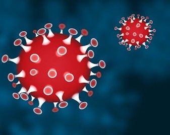 Representation Virus