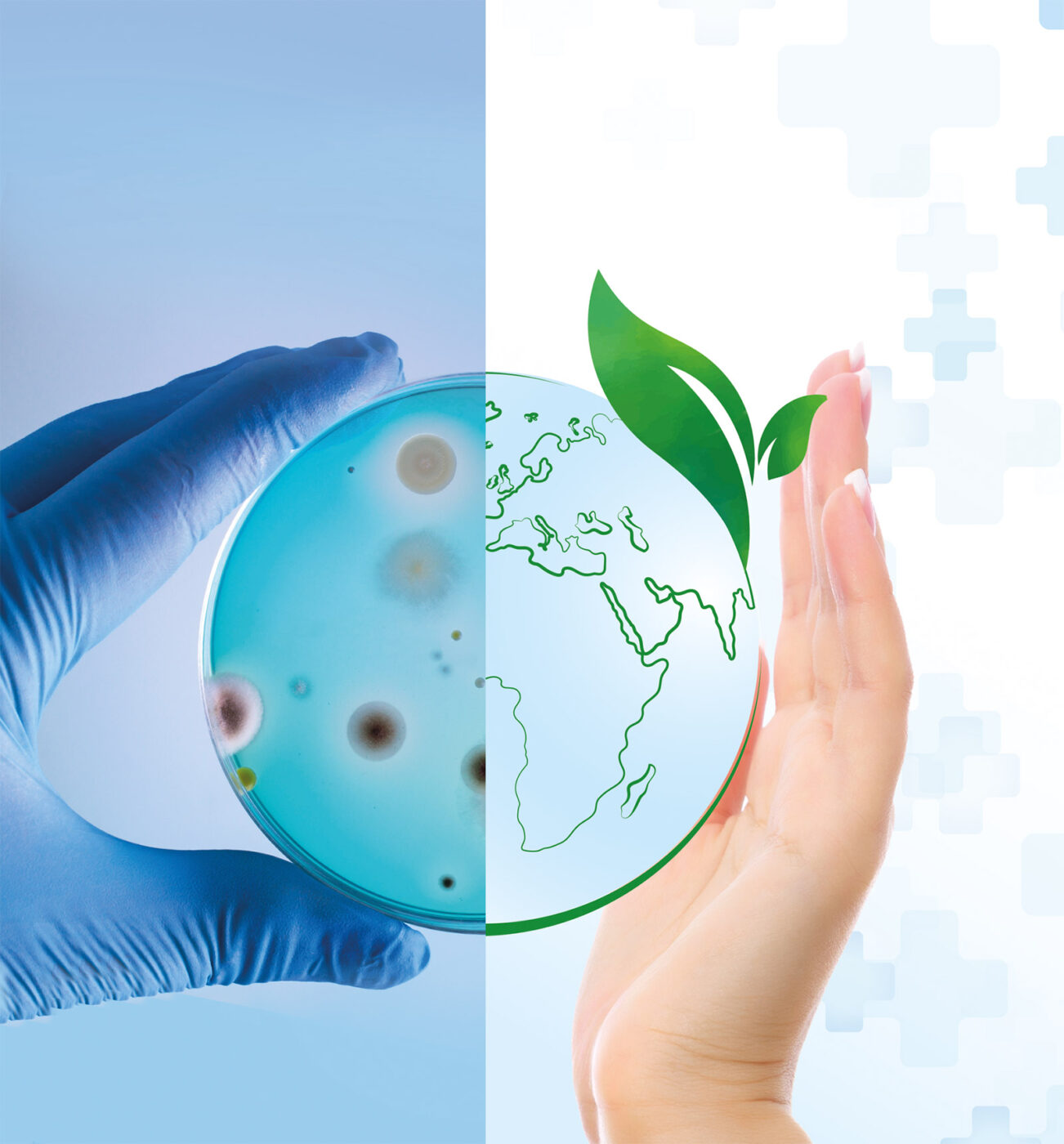 Desinfection Raisonnee Hygiene Produits Actipur