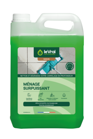 Packshot Png Fr 6536 Lvpm Menage Surpuissant Concentrate 5l