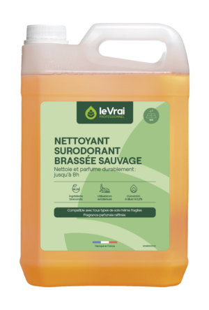 Packshot Png Fr 4284 Lvp Nettoyant Surodorant Brassee Sauvage Concentrate 5l